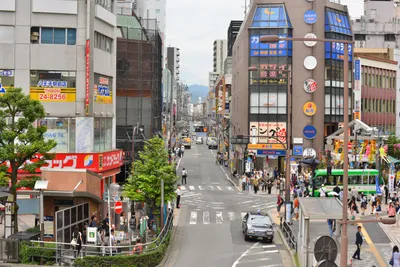 DSC_4034 (Large).JPG